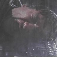 Foto Vivendo em Perigo