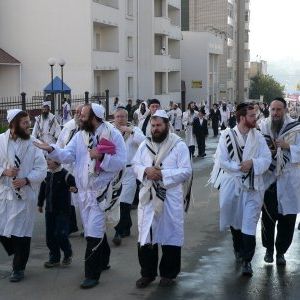 Foto Yippee - Alegria de Viver