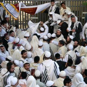 Foto Yippee - Alegria de Viver