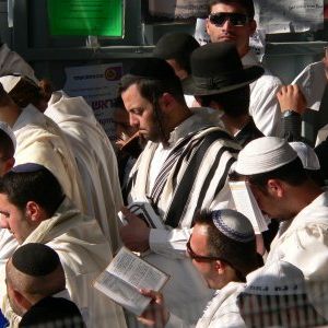 Foto Yippee - Alegria de Viver