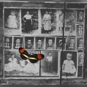 Foto Retratos e Borboletas