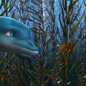 Foto O Golfinho - A História de um Sonhador