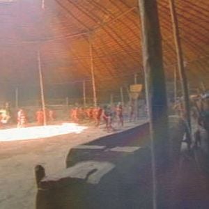 Foto Tamboro - Para Todos Sem Exceção