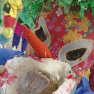 Foto Tamboro - Para Todos Sem Exceção