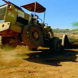 Foto Tamboro - Para Todos Sem Exceção