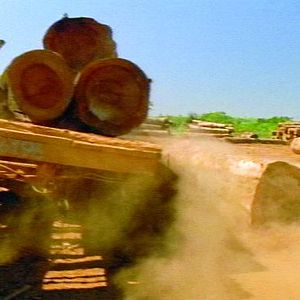 Foto Tamboro - Para Todos Sem Exceção