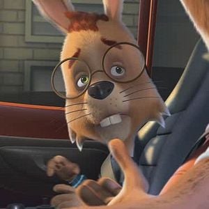 Foto A Tartaruga e a Lebre - A Revanche do Século