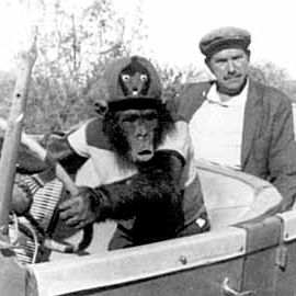 Foto Betão Ronca Ferro