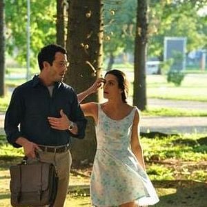 Foto Qualquer Gato Vira-Lata