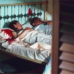 Foto Condenado à Liberdade