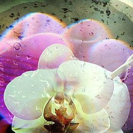 Foto Daquele Instante em Diante