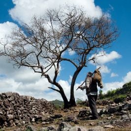 Foto O Homem Que Não Dormia