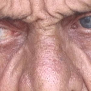 Foto Nem Gravata, Nem Honra