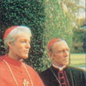 Foto Os Pássaros Feridos