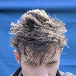 Foto A Saga Molusco - Anoitecer