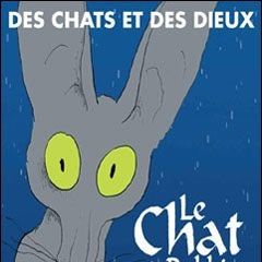 Foto O Gato do Rabino