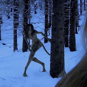 Foto Thale - Ela Veio da Floresta