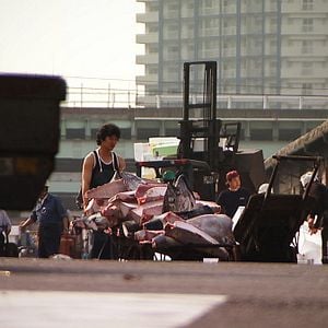 Foto Sushi - The Global Catch