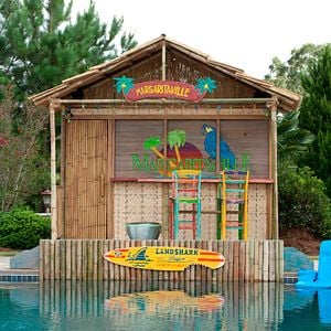 Foto O Que Esperar Quando Você Está Esperando