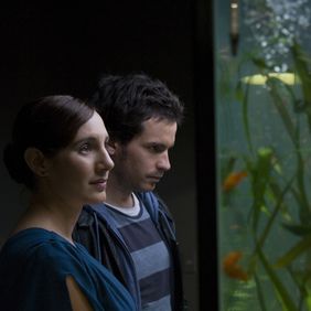 Foto A Vida dos Peixes