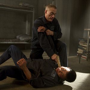 Foto Olhos de Dragão