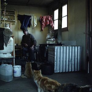 Foto Vivam os Antípodas!