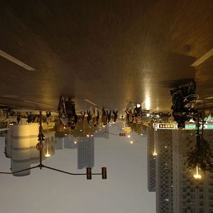 Foto Vivam os Antípodas!