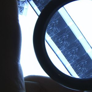 Foto Dino Cazzola - Uma Filmografia de Brasília