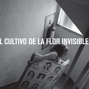 Foto O Cultivo da Flor Invisível