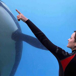 Foto Ferrugem e Osso