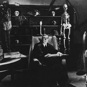 Foto Glen ou Glenda?