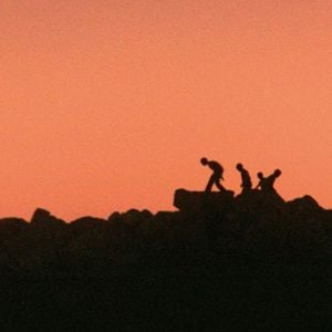 Foto A Ira da Tartaruga