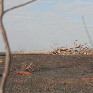 Foto Vale dos Esquecidos