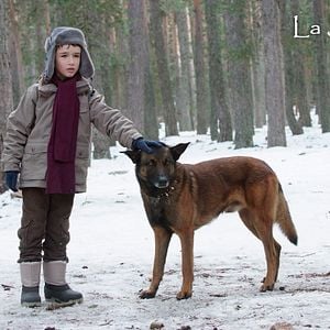 Foto Ricardo Trénor