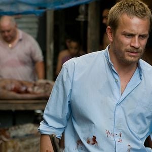 Foto Elefante Branco