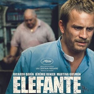 Foto Elefante Branco