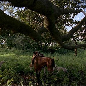 Foto Luz Depois das Trevas