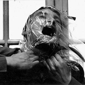 Foto Mãos Ao Alto!