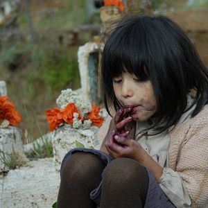 Foto Violeta Foi Para o Céu