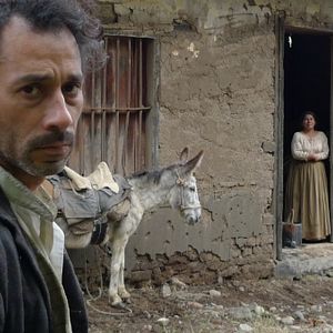 Foto Violeta Foi Para o Céu