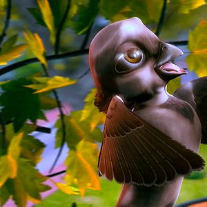 Foto Pássaros Livres - Altas Aventuras