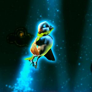 Foto Pássaros Livres - Altas Aventuras