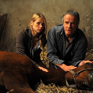 Foto Christophe Lambert