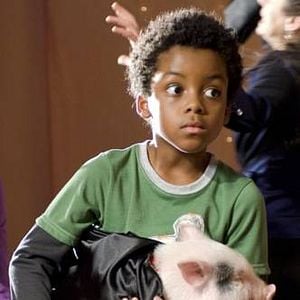 Foto Como Viajar com o Mala do seu Pai