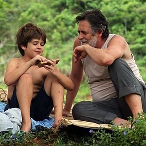 Foto Meu Pé de Laranja Lima