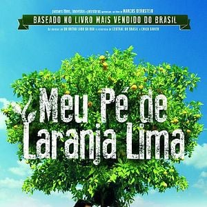 Foto Meu Pé de Laranja Lima