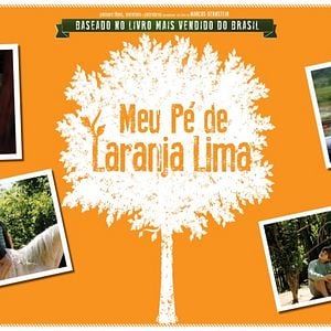 Foto Meu Pé de Laranja Lima