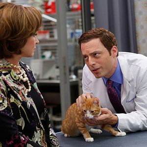 Foto Animal Practice