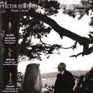 Foto Morangos Silvestres