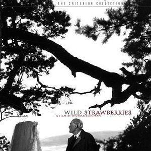 Foto Morangos Silvestres